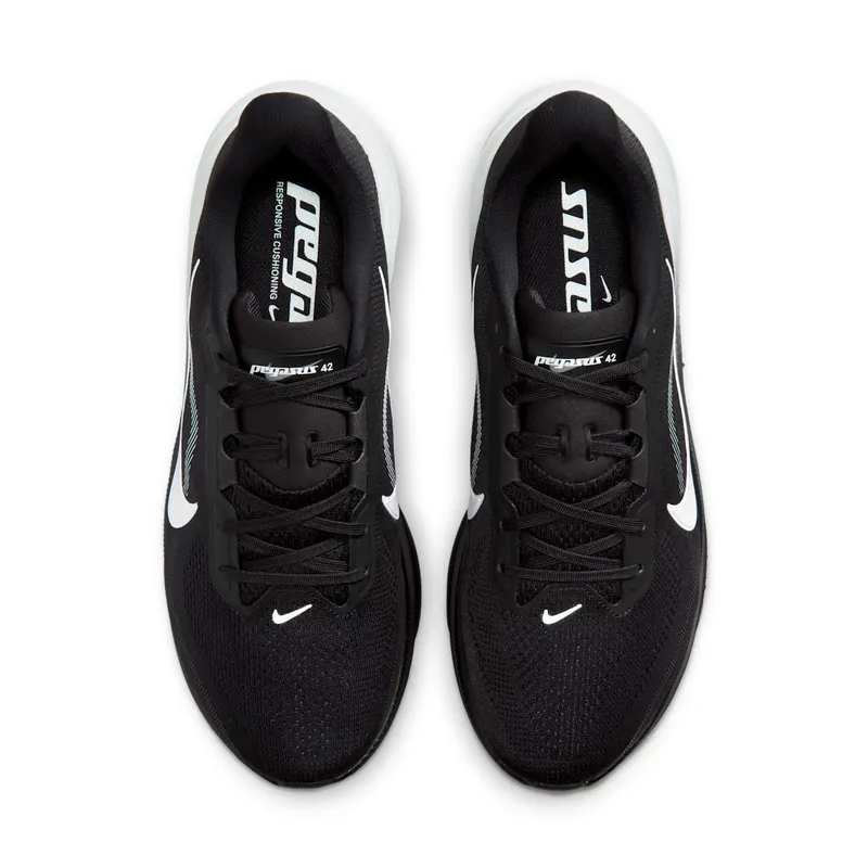 Nike Pegasus Black/Photon Dust/White (IR1228-001)
