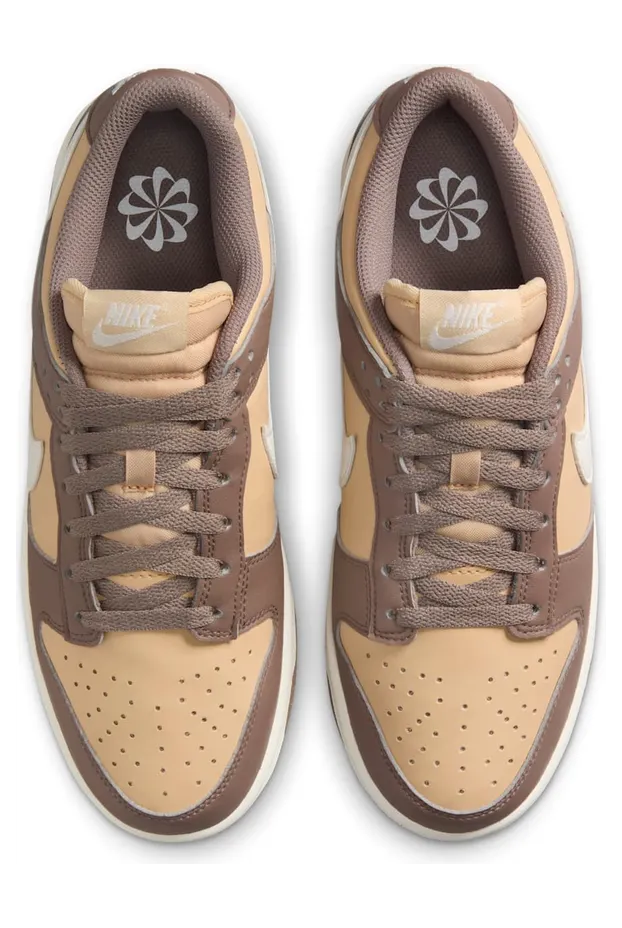 nike-dunk DD1873-201