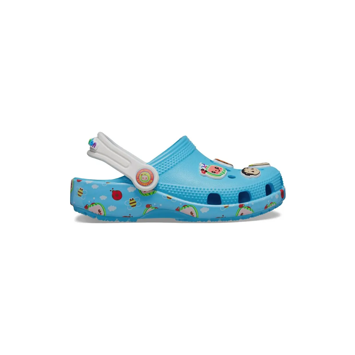 crocs-classic 208851-404