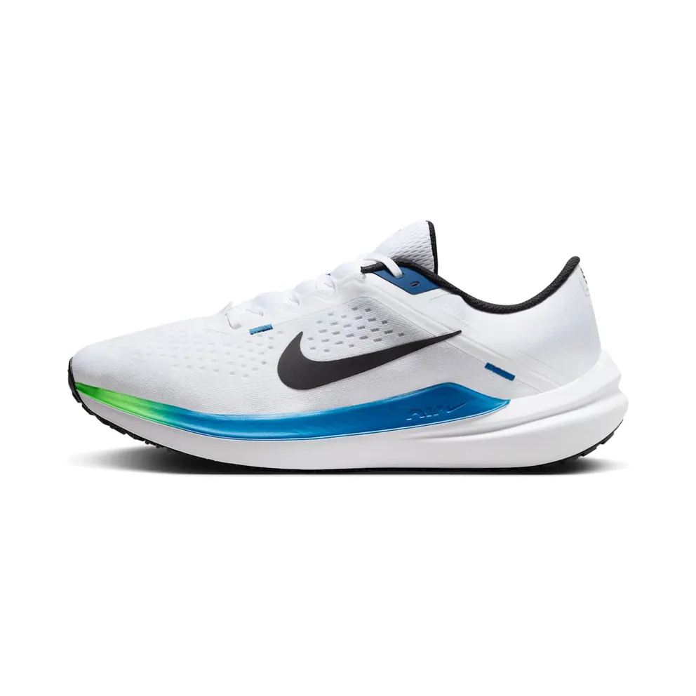 Nike Winflo 10 White (DV4022-103)