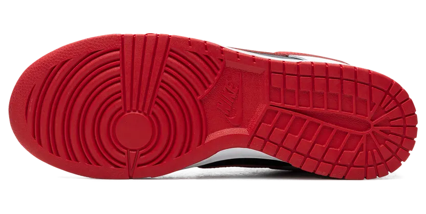nike-dunk FD9762-061
