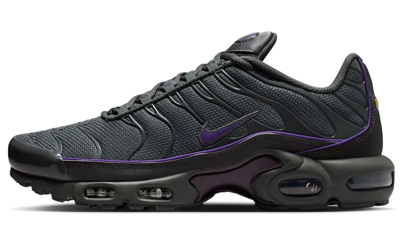 Nike Air Max Plus OG Iron Grey Wild Grape (HV8066-001)