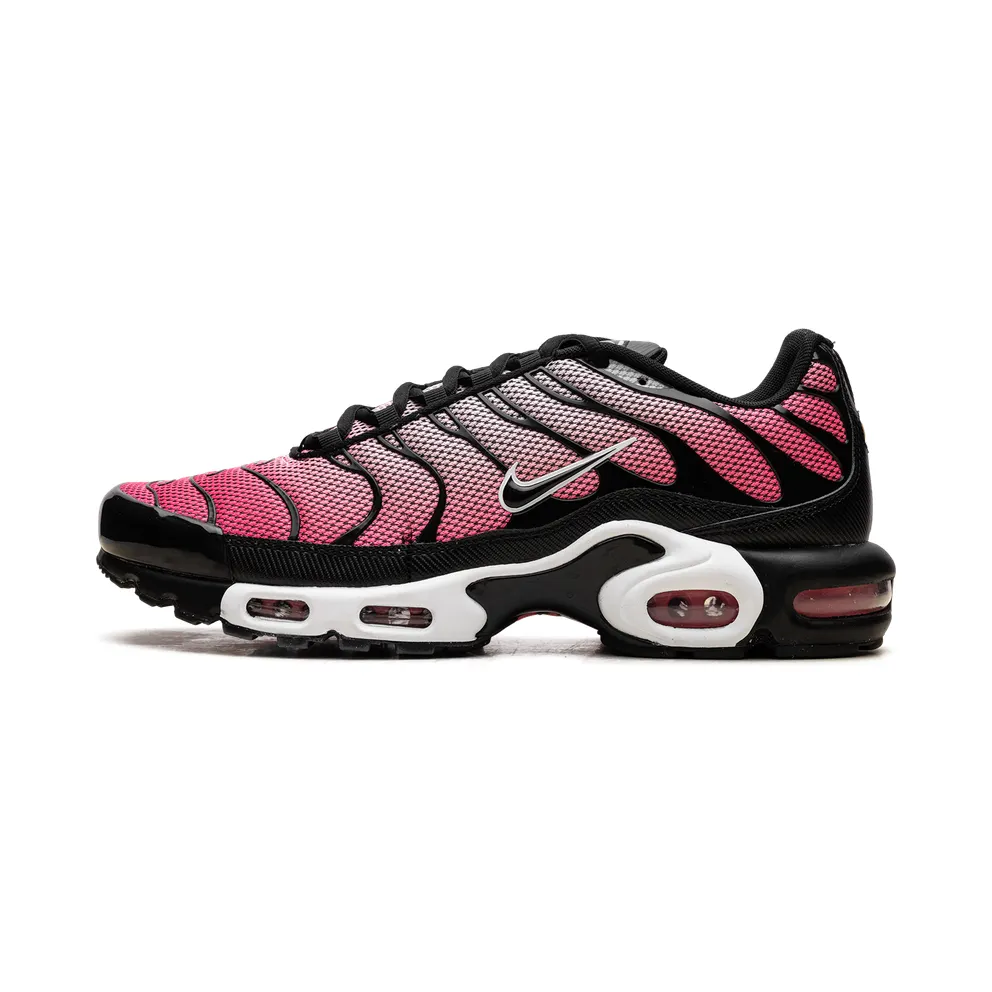 Nike Air Max Plus “All Day” (HF3837-600)