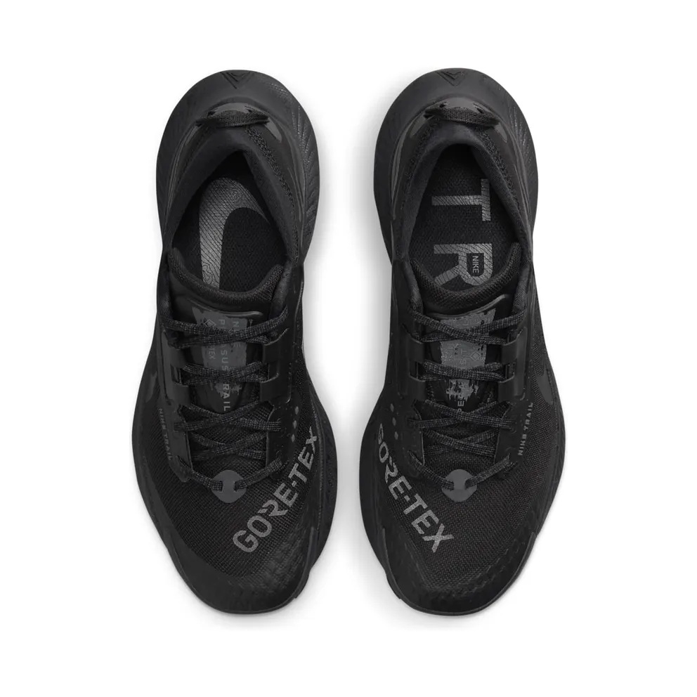 Nike Pegasus Trail 3 GORE-TEX Waterproof Trail Running Black (DC8794-001)