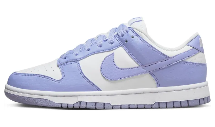 nike-dunk DN1431-103