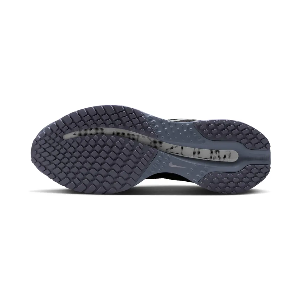 Nike Pegasus Premium “Anthracite” (HQ2592-006)