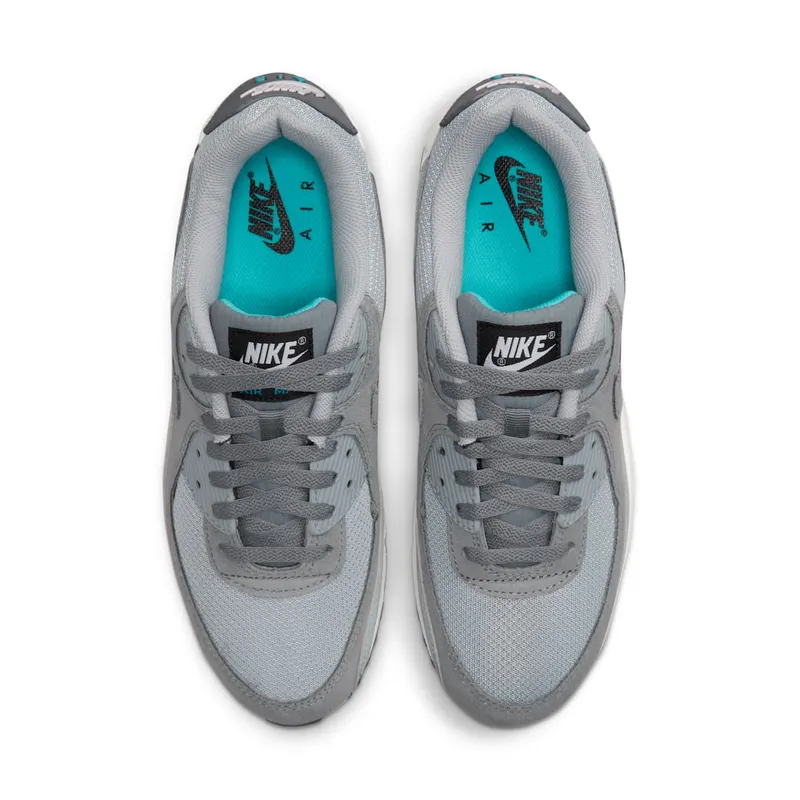 Nike Air Max 90 Grey (DM0029-002)