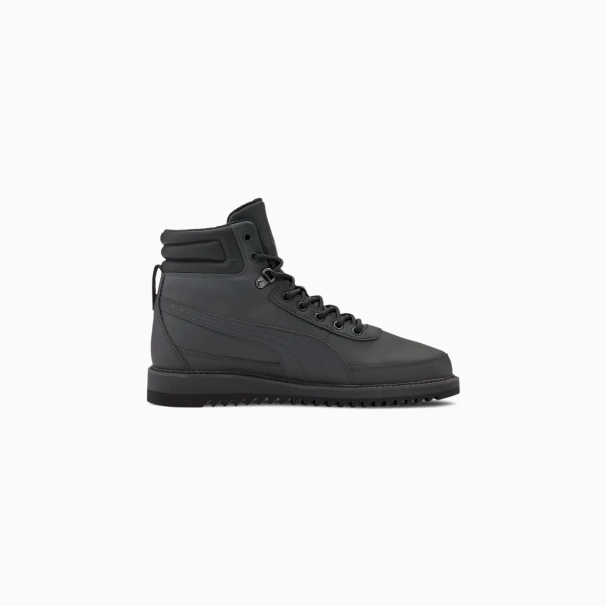 puma-desierto 373026-02