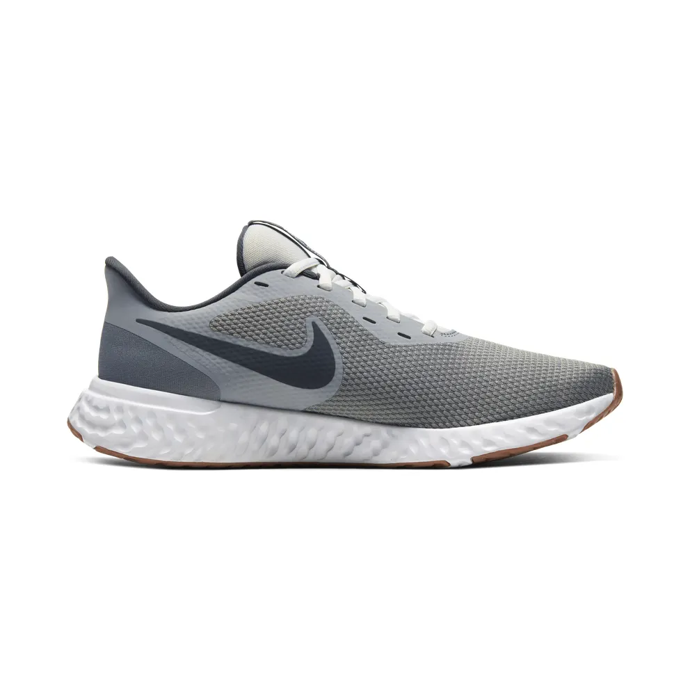 Nike Revolution 5 Smoke Grey Smoke Grey/Photon Dust-Dark Smoke Grey (BQ3204-008)
