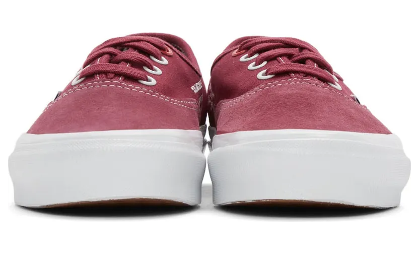 vans-authentic VN0A4BV991Y