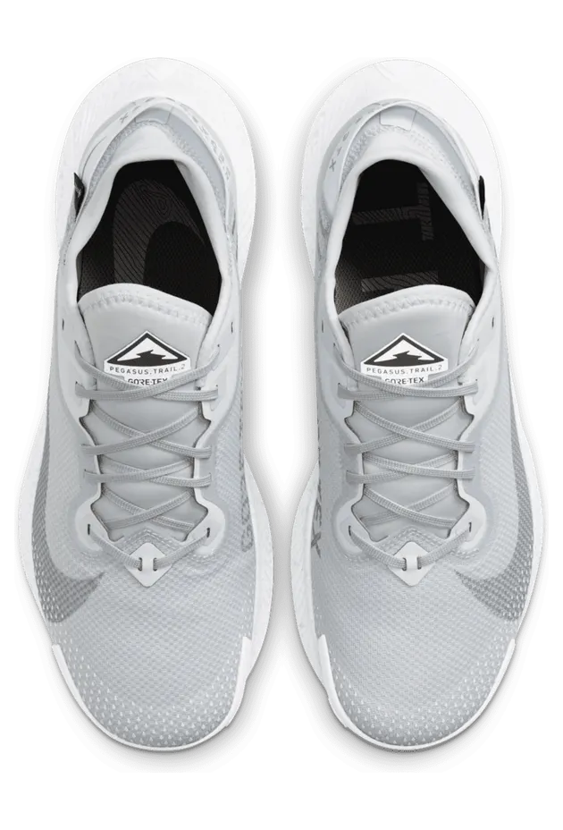 nike-air-pegasus DC1933-100