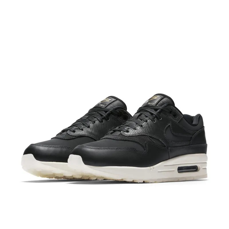 Nike Air Max 1 Anthracite (W) Anthracite/Anthracite-Black (454746-016)