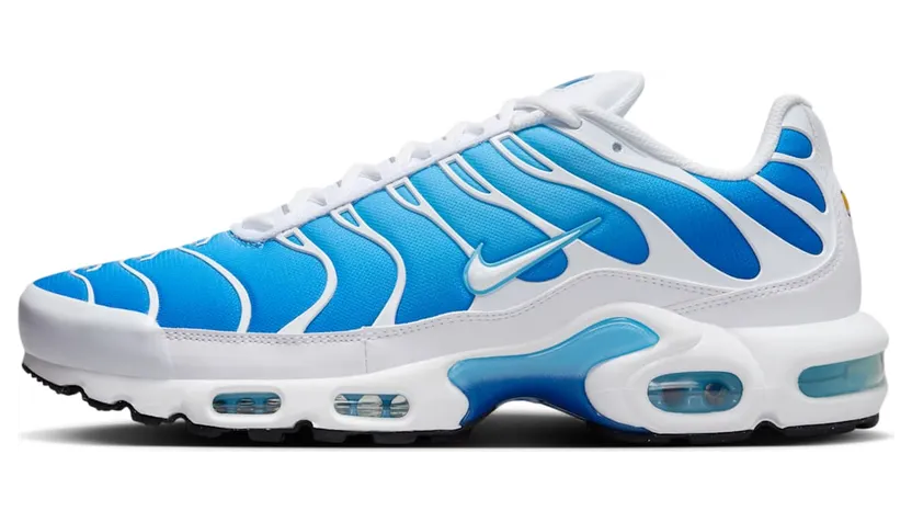 Nike Air Max Plus 852630-411
