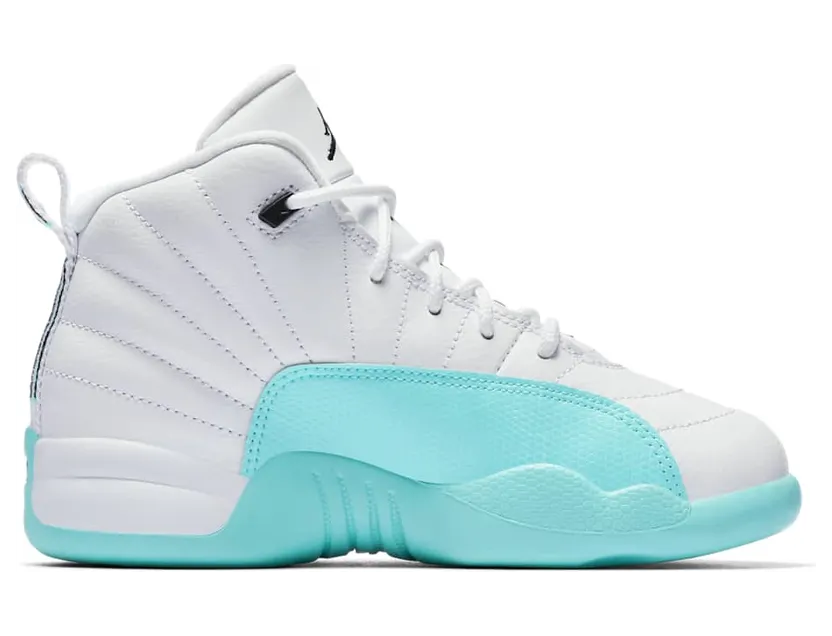 air-jordan-12 510816-100