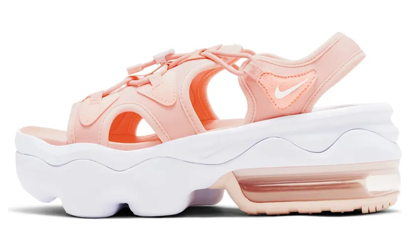 nike-air-max CW9705-600