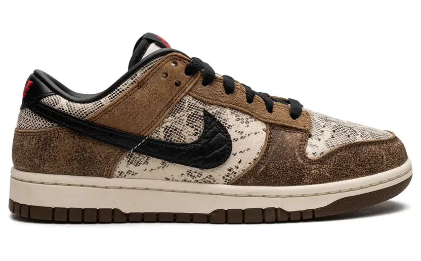 nike-dunk FJ5434