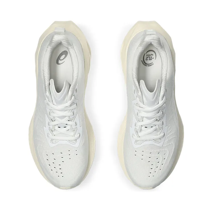 asics-novablast 1012B510.102