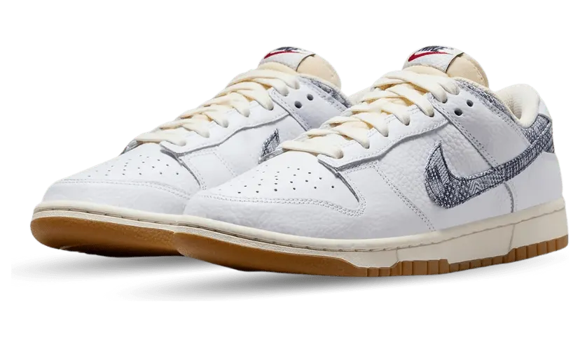nike-dunk FN6881-100