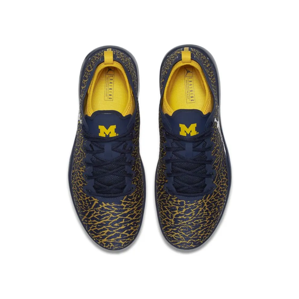 Jordan Trainer 1 Low Michigan College Navy/White-Amarillo (845403-420)