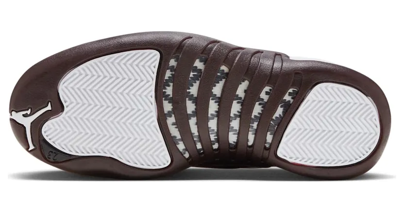air-jordan-12 DV6989-100