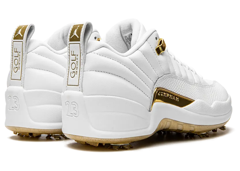 air-jordan-12 DM0106-117