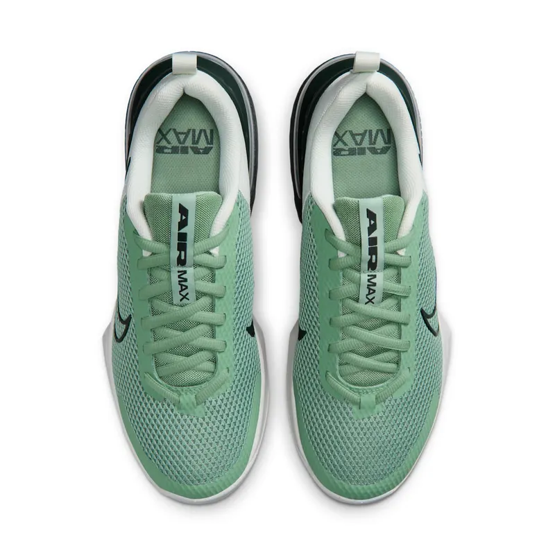 Nike Alpha Trainer Steam/Spruce Aura/Off White/Black Spruce (FQ1833-015)