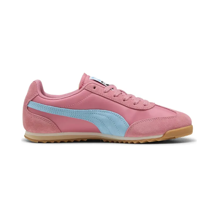 puma-arizona 398682_33