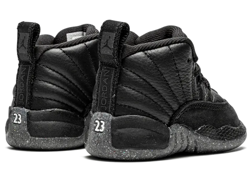 air-jordan-12 DM5206-006