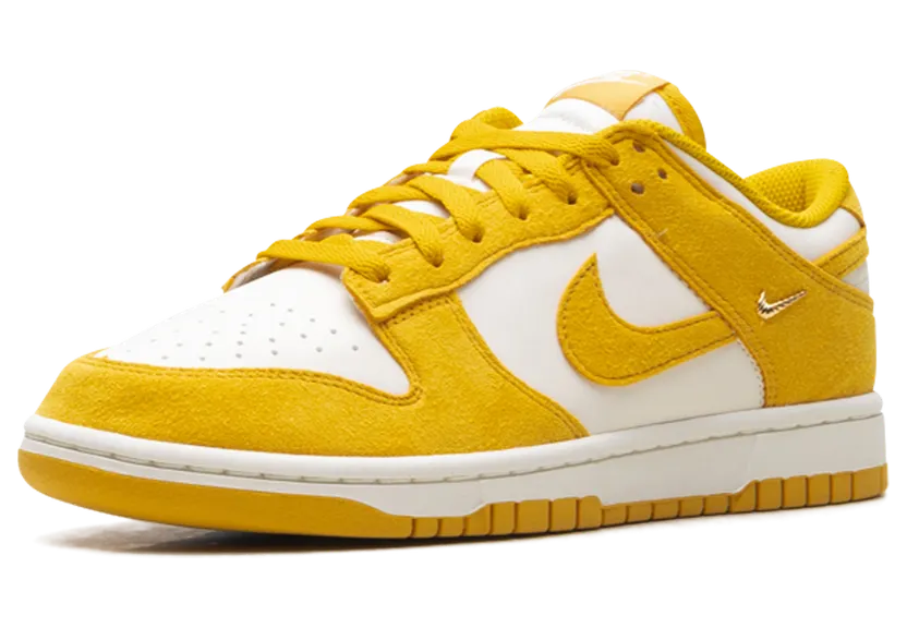 nike-dunk IB4417-101