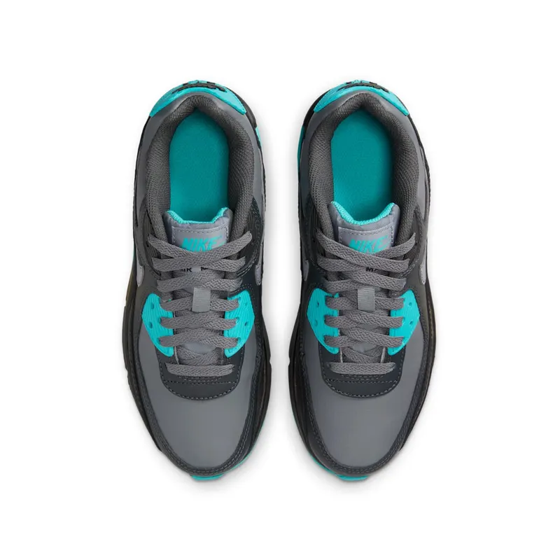 Nike Air Max 90 LTR Cool Grey Dusty Cactus Black Wolf Grey (CD6864-027)