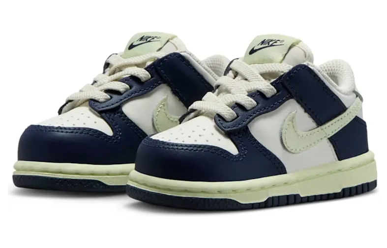 nike-dunk FB9107-127