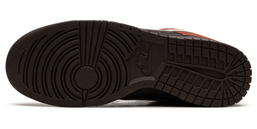 nike-dunk FV0395-200