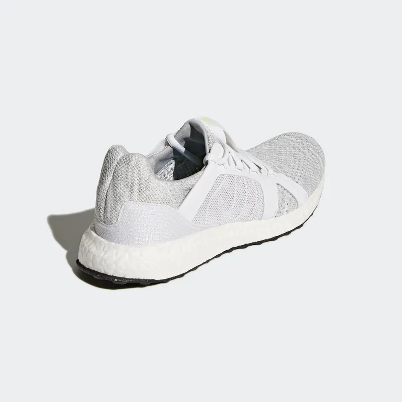 adidas Ultraboost Parley Stella McCartney Stone (W) Stone/Core White/Mirror Blue (DB1958)