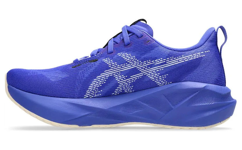 asics-novablast 1012B765-403
