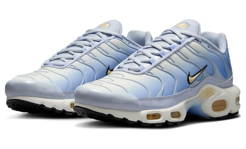 nike-air-max DZ3670-004