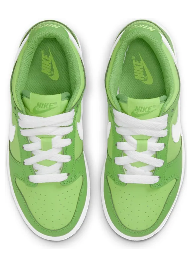 nike-dunk DH9756-301