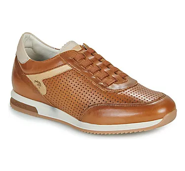 Fluchos F2189 “Brown” (F2189HABANACUERO)