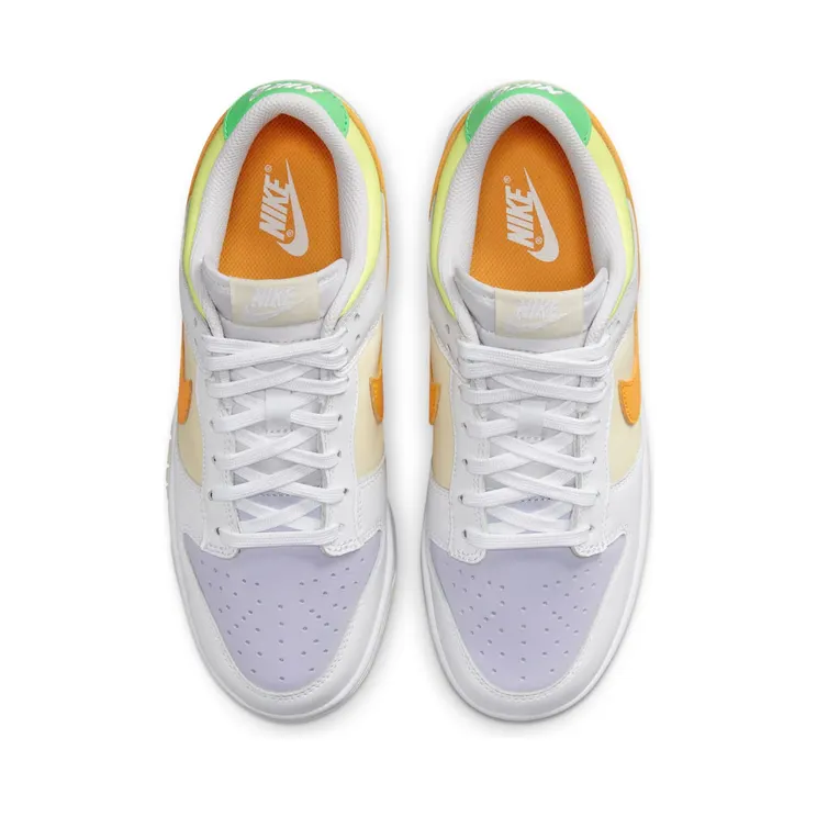 nike-dunk FJ4742-100