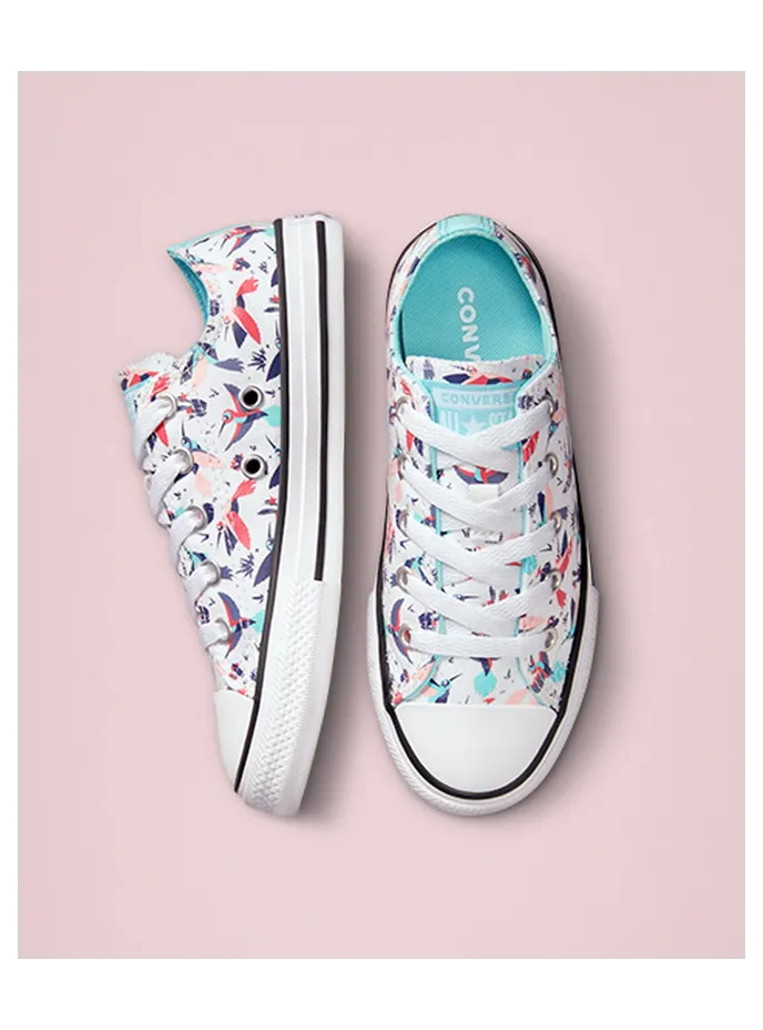 converse-chuck-taylor-all-star A00930C