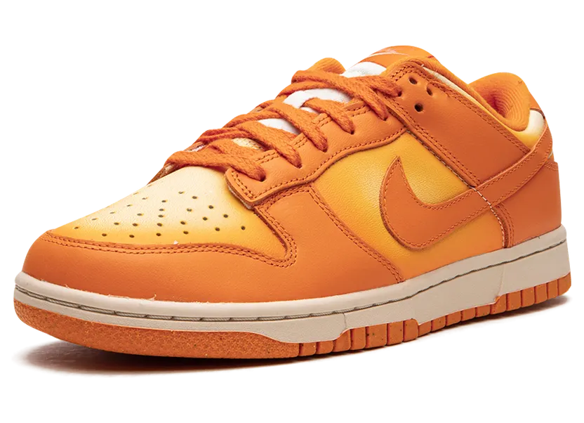nike-dunk DX2953-800