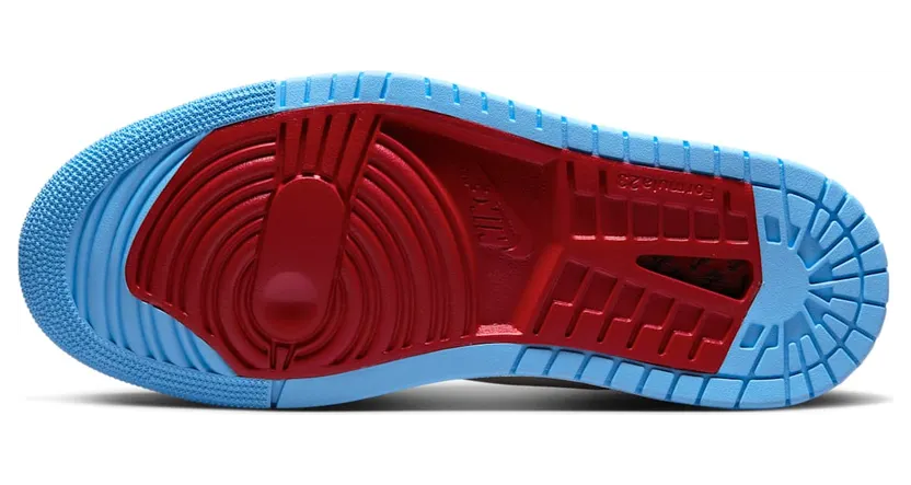 air-jordan-1 DV1305-004