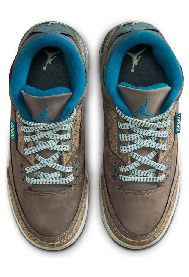air-jordan-3 IB7066-001