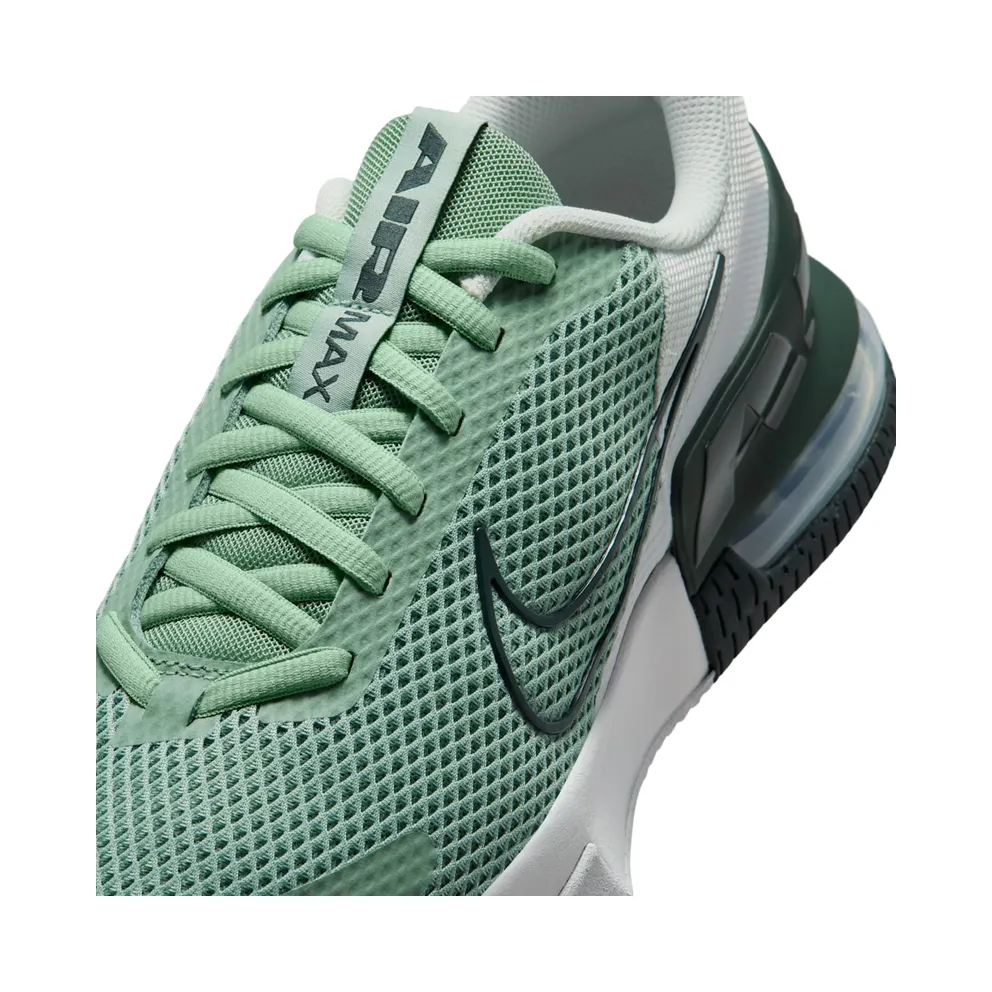 Nike Alpha Trainer Steam/Spruce Aura/Off White/Black Spruce (FQ1833-015)