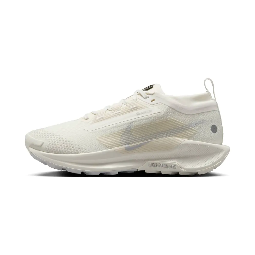 Women's Shoes Nike Pegasus 5 Gore-tex FQ0912-102