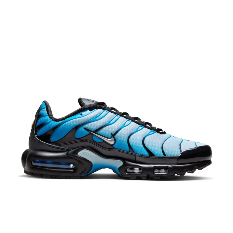 Nike Air Max Plus Blue Gradient (FQ0204-010)