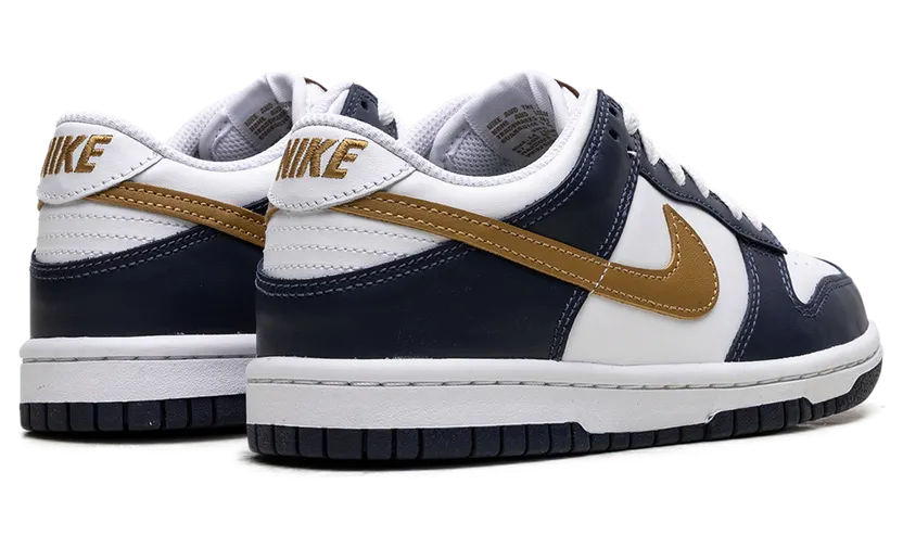 nike-dunk FB9109-111