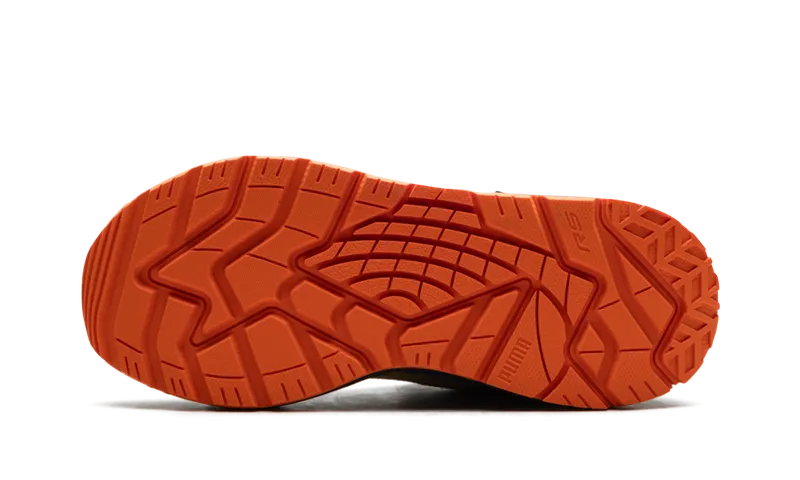 Puma RS-TRCK Pinball GS “Multicolor” (395321-01)