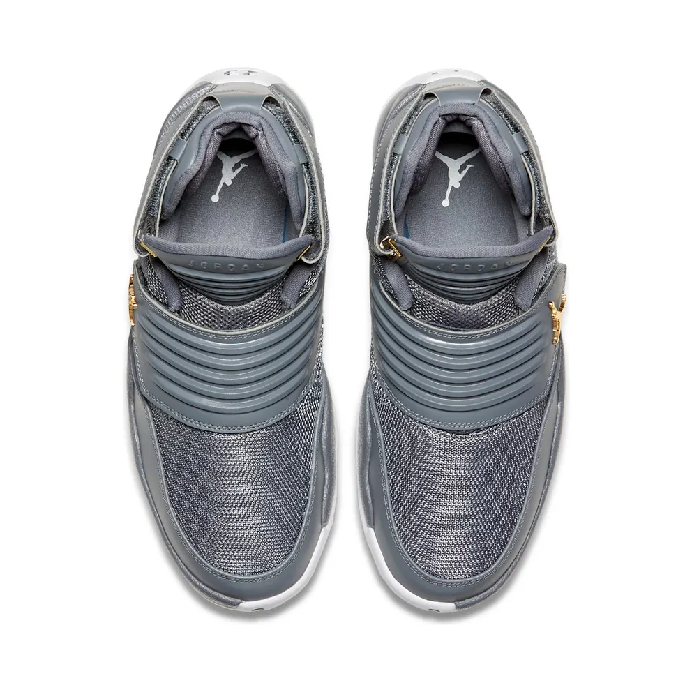 Jordan Generation 23 Cool Grey Cool Grey/Cool Grey-White-Metallic Gold (AA1294-004)