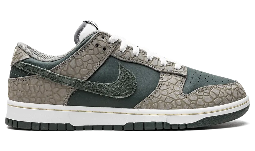 nike-dunk HF4878-053