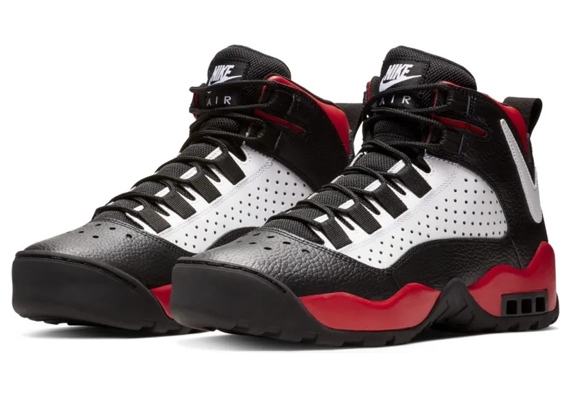 Nike Air Darwin Bulls